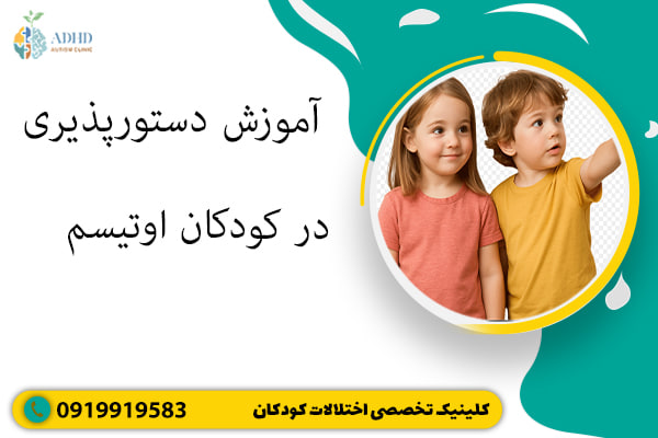 آموزش دستورپذیری در کودکان اوتیسم